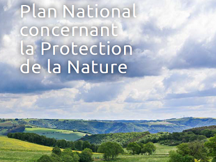 Appel à projet - mise en œuvre du 3e Plan national concernant la Protection de la Nature