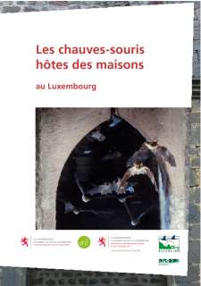Brochure "Les chauves-souris hôtes des maisons au Luxembourg"