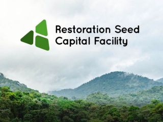 New Restoration Seed Capital Facility launched to promote investment in forest landscape restoration