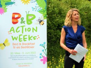 Présentation du Plan d'action pour la préservation des insectes pollinisateurs et lancement des «B&B Action Weeks»