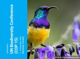 COP15 de la Convention sur la diversité biologique à Montréal: nouvel accord mondial adopté pour la biodiversité