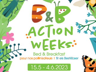 Deuxième édition des «B&B Action Weeks - Bed & Breakfast fir eis Bestëbser» (15.05. - 04.06.2022)
