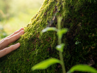 Grand Dossier Layman : les résultats des recherches environnementales du LIST pour un futur durable compilés pour le grand-public