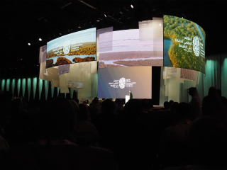 «Aligner économie et écologie est indispensable!» - Serge Wilmes au congrès de l’Union internationale pour la conservation de la nature à Abu Dhabi 