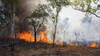 Incendie image Adobe Stock