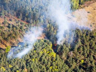 Waldbrand