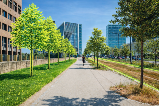 Consultation publique sur le Plan national de restauration de la nature