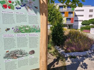 Appel à projets :  Bëstebsergäert fir Gemengen - E Gaart fir eis wëll Bestëbser