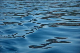 Sécheresse: interdiction temporaire des prélèvements d’eau dans les cours d’eau − à l’exception de la Moselle