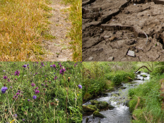 Biodiversité : deux nouveaux appels à mobilisation des acteurs de terrain