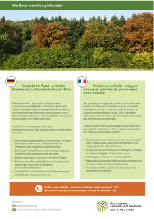 Prudence en forêt – risques accrus en période de sécheresse et de chaleur