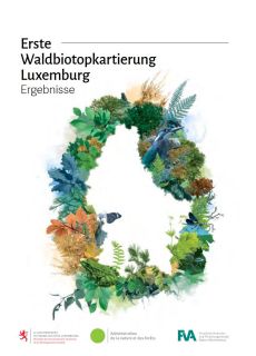 Erste Waldbiotopkartierung Luxemburg 2022