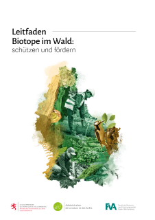 Leitfaden – Biotope im Wald: schützen und fördern 2024