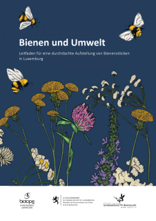 Bienen und Umwelt – Leitfaden für eine durchdachte Aufstellung von Bienenstöcken in Luxemburg