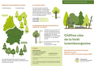 Chiffres clés de la forêt luxembourgeoise