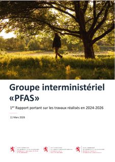 Groupe interministériel  «PFAS» - 1er Rapport portant sur les travaux réalisés en 2024-2026