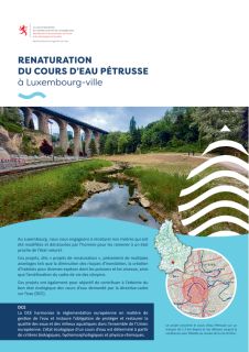 Renaturation du cours d'eau Pétrusse à Luxembourg-ville