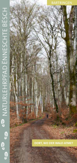 Naturwaldreservat „Enneschte Bësch“