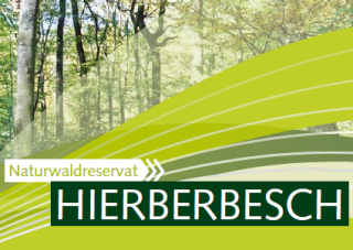 Faltblatt zum Naturwaldreservat „Hierberbësch“ in Mompach