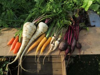  Consommer des légumes tout l'hiver