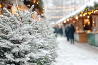 marché d'hiver