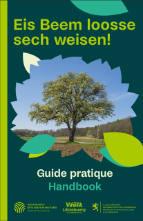 Découvrez notre guide pratique sur les arbres remarquables !