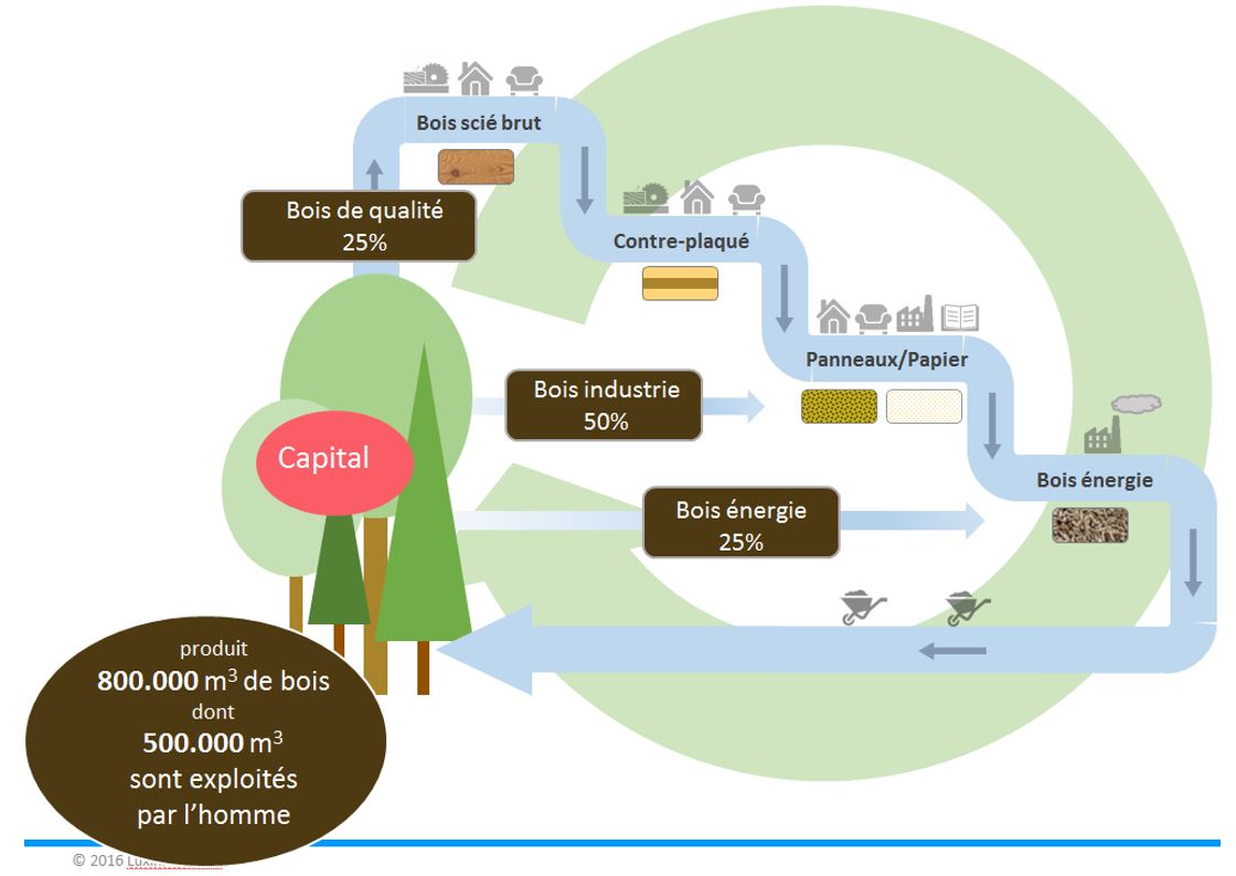 Panneaux de plastique et dérivés - Matériaux de construction