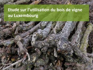Publication de l'étude: L'utilisation du bois de vigne du vignoble luxembourgeois comme bois de barbecue