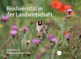 Biodiversität in der Landwirtschaft